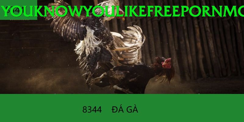 Đá Gà Trực Tiếp - pub88